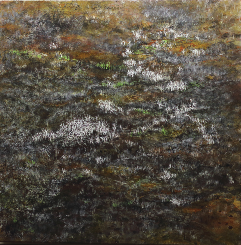 "Sous nos pas, Lichens et terres ocres", 2026 (80x80cm) Wenzhou monté sur toile