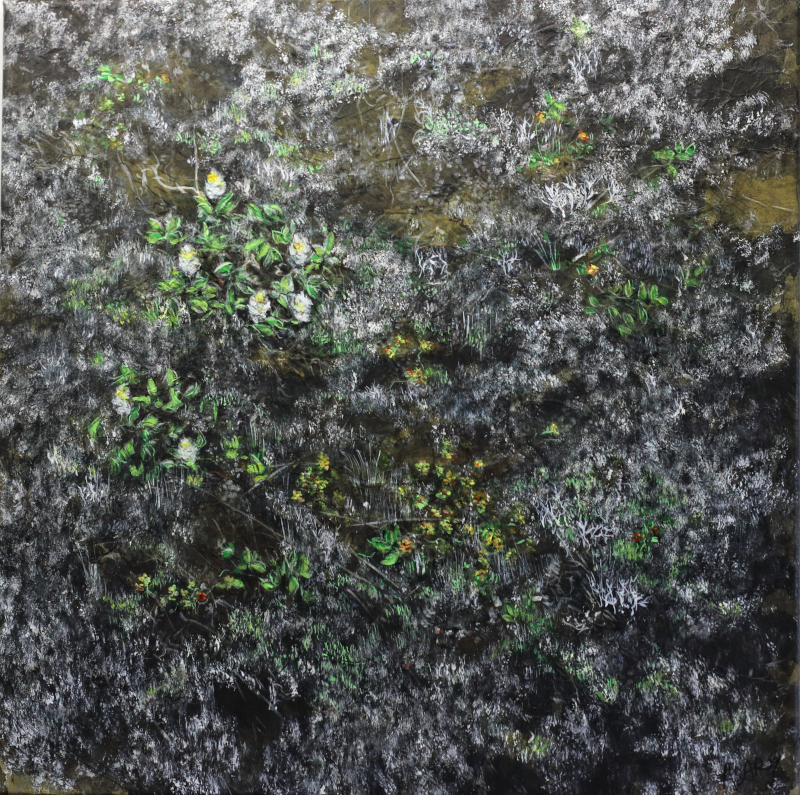"Sous nos pas, lichens et saule nain", 2026 (80x80cm) Wenzhou monté sur toile