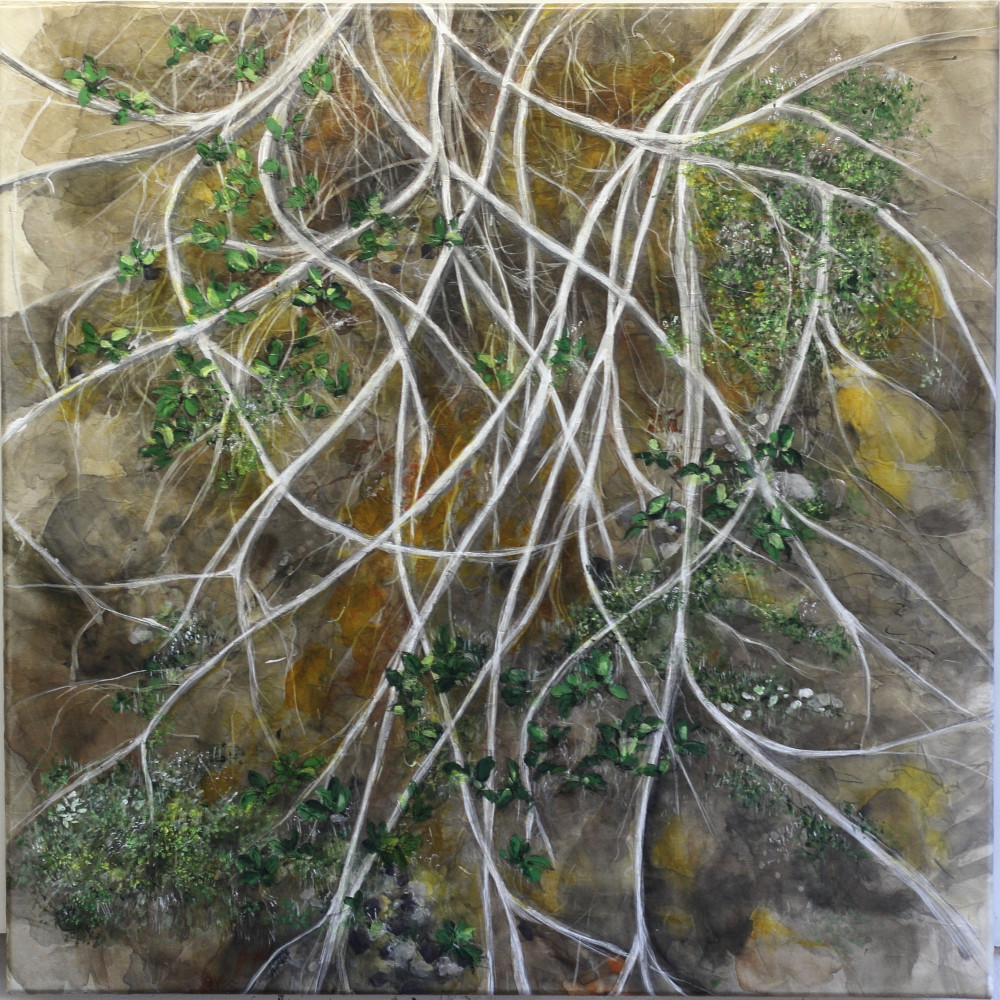Sous nos pas; Saules Arctiques 2026, (80x80cm) Wenzhou monté sur toile
